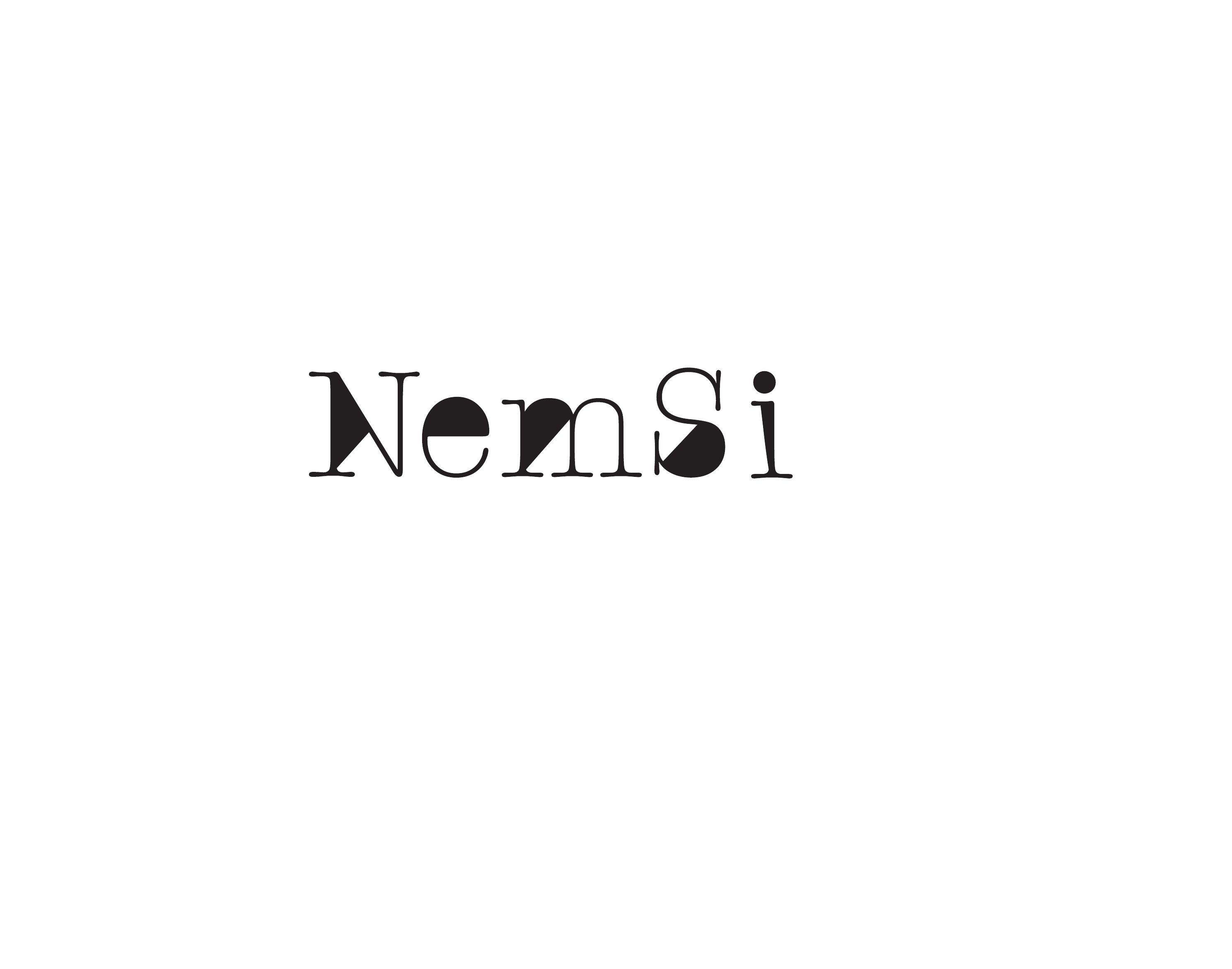 NemSi logo